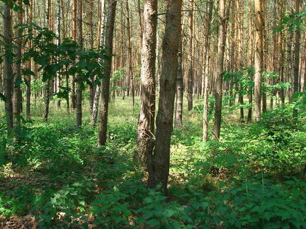 DSC02485