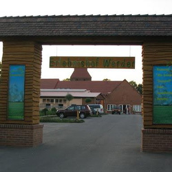 2009